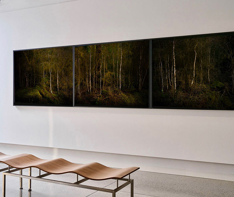 Artists: Photographer Nigel Swinn, Te Anau 2026