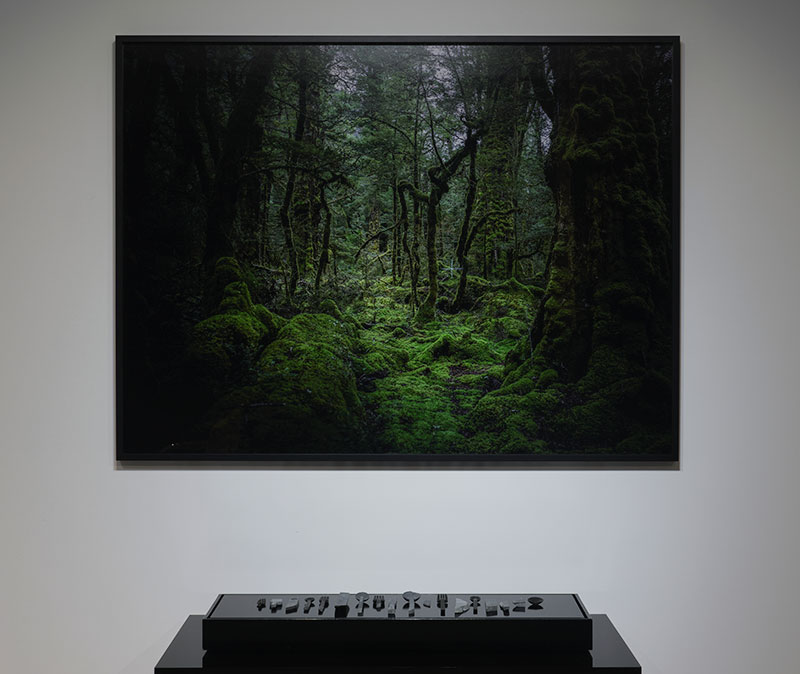 Nigel Swinn ‘Lake Gunn, Fiordland I’, C-Type Print