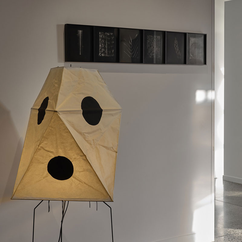 Isamu Noguchi Lantern & Casey Moore Botanica Condenda